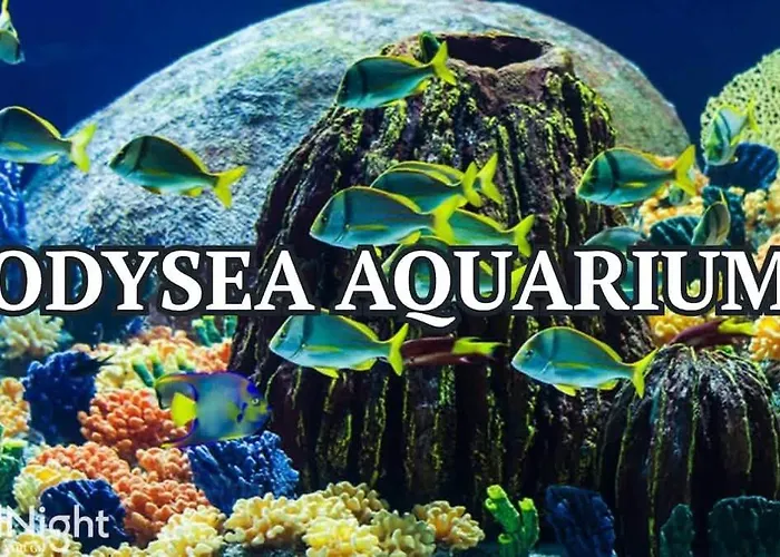 Holiday home Sunrise Retreat - Backyard Oasis - Beautiful Views *